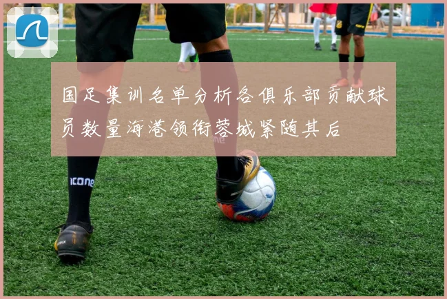 国足集训名单分析各俱乐部贡献球员数量海港领衔蓉城紧随其后